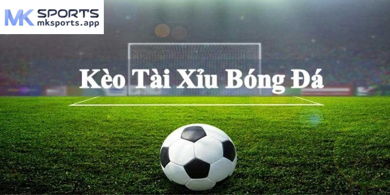 Kèo cược tài xỉu 2.25